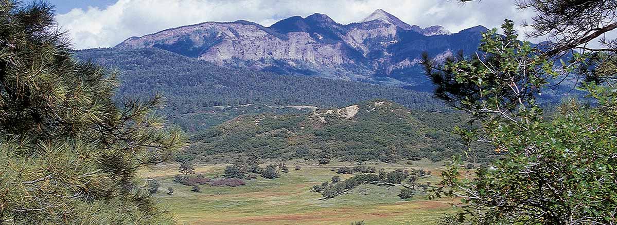 pagosa springs mountain range real estate